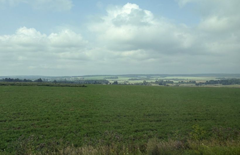 Минимущество Прикамья объявило о дате торгов на 15 земельных участков сельскохозяйственного назначения