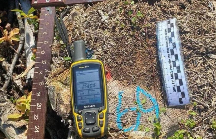 Трое жителей Чусового срубили 43 дерева ради склона для сноуборда