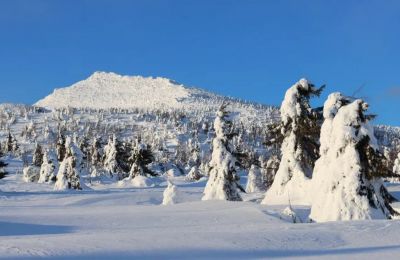 Заповедник «Басеги» приглашает пермяков на фотоэкскурсии