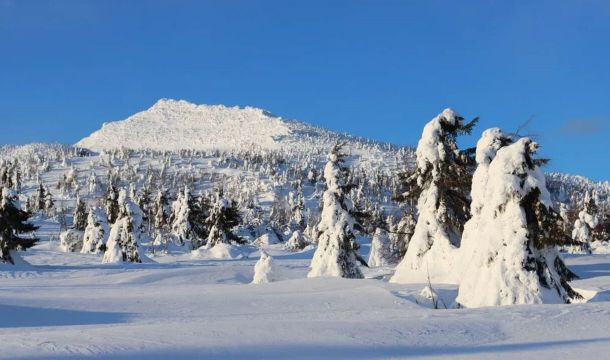 Заповедник «Басеги» приглашает пермяков на фотоэкскурсии