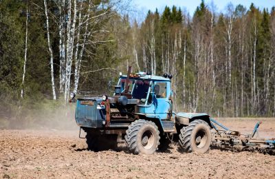 Урожай начинается весной. Какие планы у аграриев Прикамья на этот сезон?