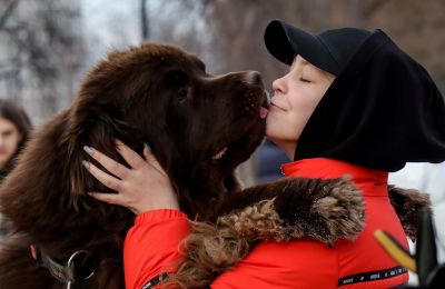 Ментал-коуч для Тузика: кто такой зоопсихолог и кому и как он помогает