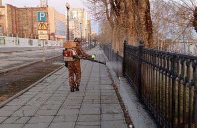 ​В зеленых зонах Перми идет противоклещевая обработка