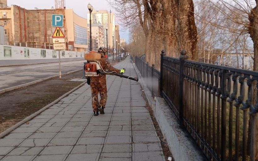​В зеленых зонах Перми идет противоклещевая обработка
