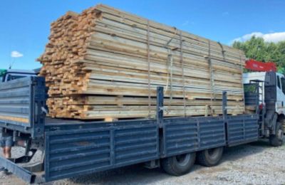 Из Прикамья вывезли 724 кубометра древесины без карантинных сертификатов