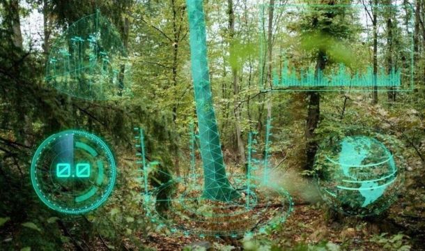 Пермская компания внедряет цифровой учет леса с помощью беспилотника