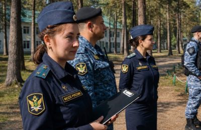 Пчеловода в Пермском крае обязали убрать пасеку из-за аллергии соседки
