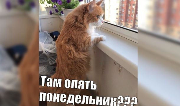 В чем заключается «магия» понедельников или как перестать загонять самого себя