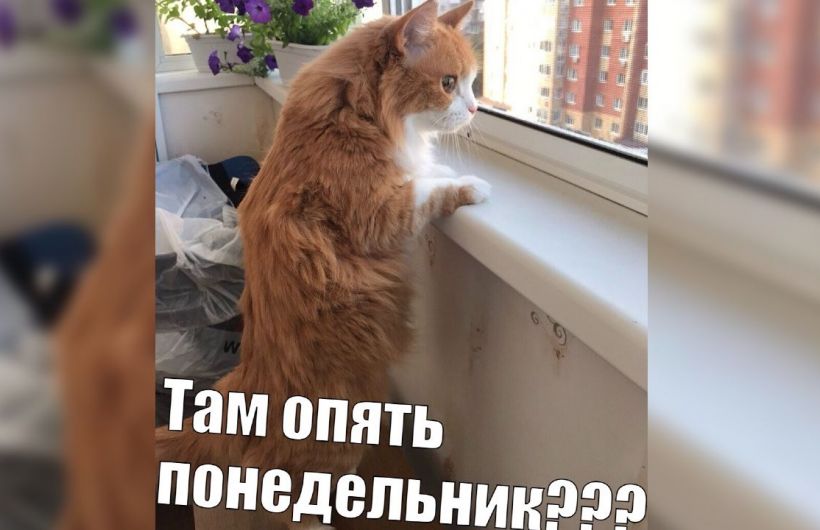 В чем заключается «магия» понедельников или как перестать загонять самого себя