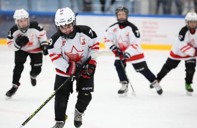 ​В Пермском крае появятся полукрытые хоккейные коробки