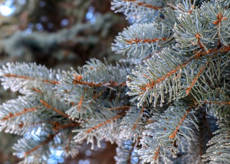 ​2025 год станет самым теплым за всю историю метеонаблюдений в Перми