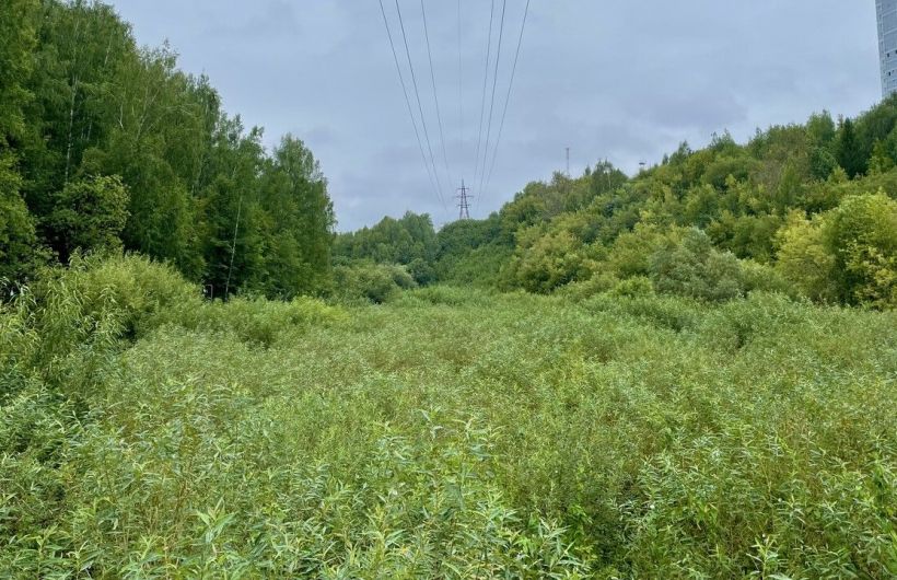 В Перми снизили арендную плату за землю в проектах КРТ