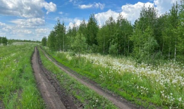 Жителя Прикамья через суд обязали очистить заросшие сельхозземли 
