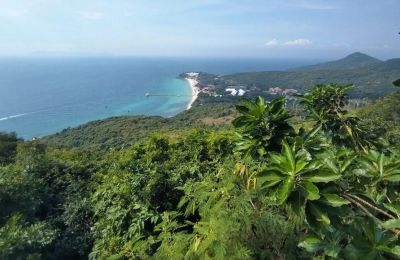 Самые дорогие направления для новогоднего отдыха пермяков — Маврикий и Мальдивы