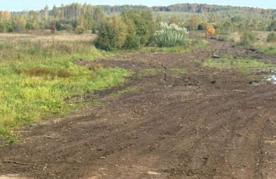 В Чусовском округе на сельхозземлях складировали лесоматериалы 