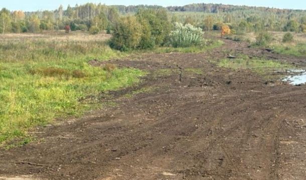 В Чусовском округе на сельхозземлях складировали лесоматериалы 