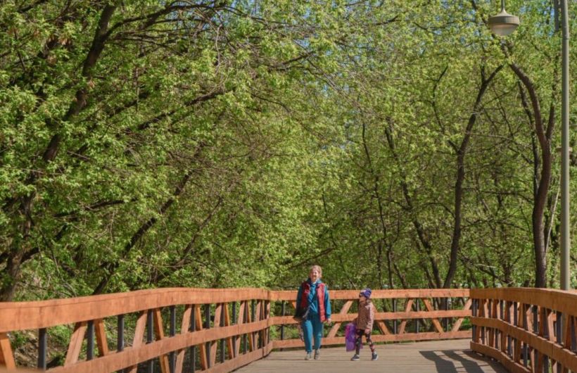 В Перми запустили сайт проекта «Зеленое кольцо»