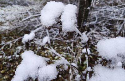 В Пермском крае 29 марта ожидаются туман и гололедица