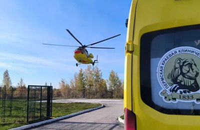 В Чердынском округе на сельхозземле хотят разместить площадку санавиации 