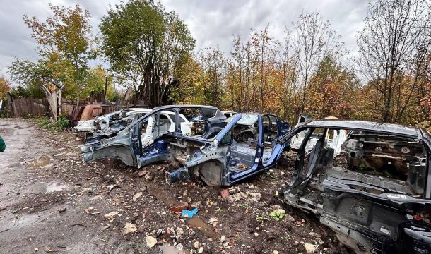 ​В Перми запущен Telegram-бот «Чистая страна» для контроля за контейнерными площадками и борьбой с незаконными свалками