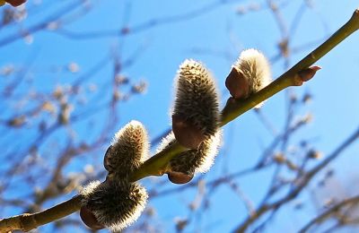 Апрель в Прикамье ожидается теплым с редкими дождями