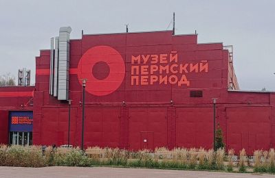 В пермском музее покажут скелет древнего животного из Прикамья