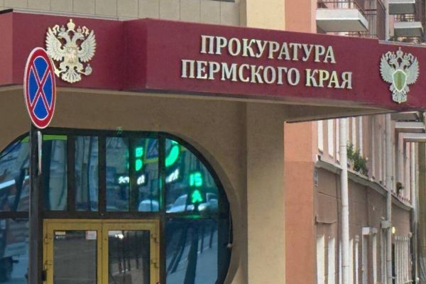 В Кудымкаре многодетная семья не могла получить положенные пособия
