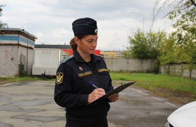 ​В Перми кронировали 17 опасных деревьев в садовом товариществе