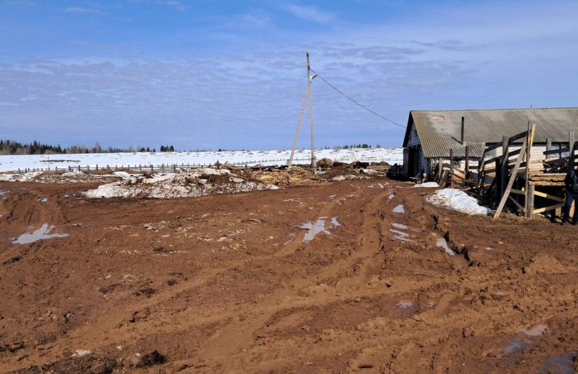 В Прикамье агропредприятие «Соколово» оштрафовано после проверки Россельхознадзора