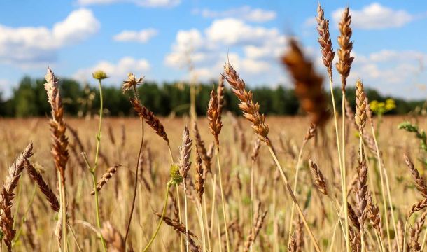 ​Пермское предприятие стало победителем национальной премии