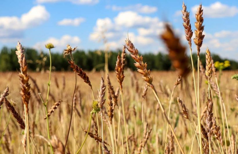 ​Пермское предприятие стало победителем национальной премии