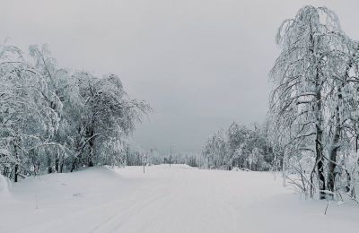 73 сантиметров достигла высота снежного покрова в Перми после ночного снегопада 
