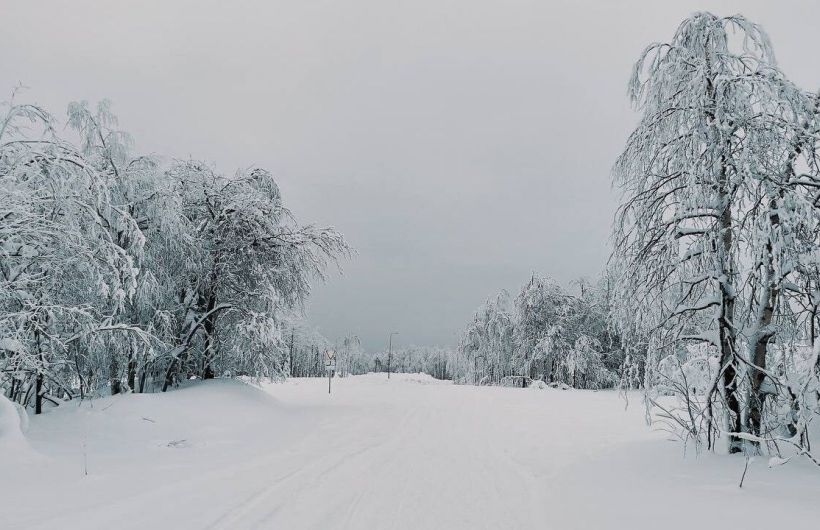 73 сантиметров достигла высота снежного покрова в Перми после ночного снегопада 