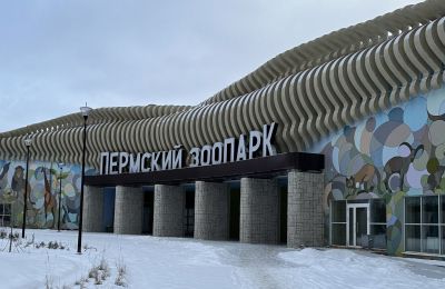 Животные Пермского зоопарка встречают первый снег в новом помещении в зоопарка 