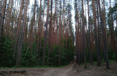 В Прикамье от клещей пострадало 327 детей