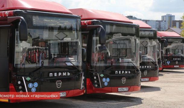 В Пермь поступило 59 новых автобусов