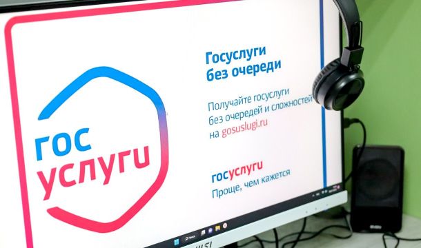 В Прикамье половину подписей в поддержку самовыдвиженцев на губернаторских выборах можно собрать на «Госуслугах»