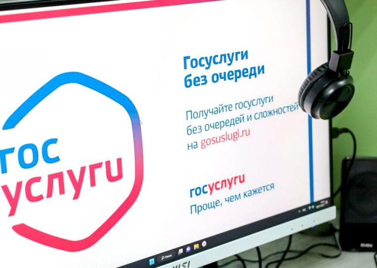 ​В Прикамье половину подписей в поддержку самовыдвиженцев на губернаторских выборах можно собрать на «Госуслугах»