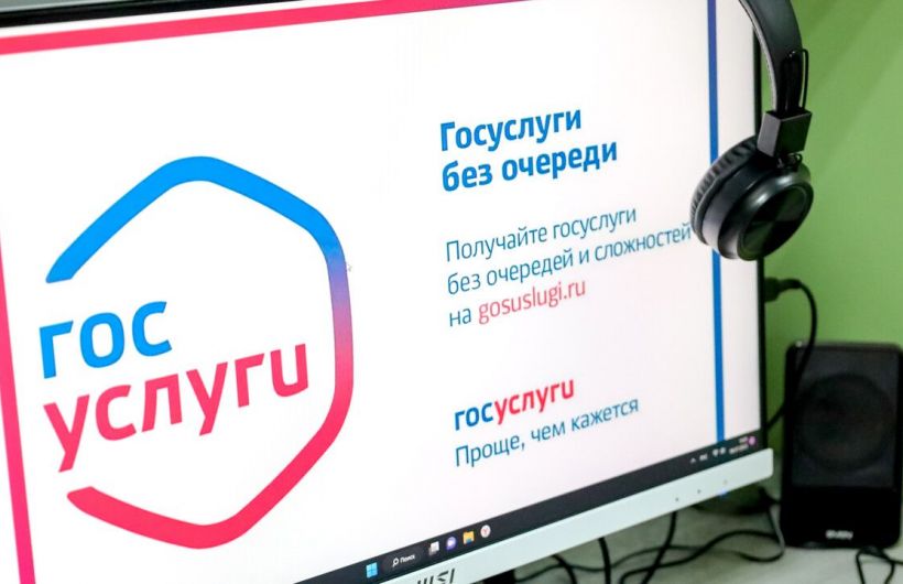 В Прикамье половину подписей в поддержку самовыдвиженцев на губернаторских выборах можно собрать на «Госуслугах»