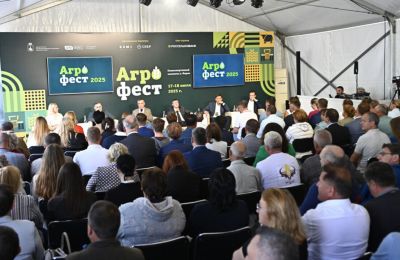В Пермском крае рассматриваются новые меры поддержки производителей молока с 2026 года