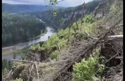 Посетителей природного парка «Пермский» просят не сходить с маршрутов после урагана