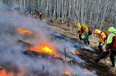 ​С начала лесопожарного сезона в Прикамье потушено шесть лесных пожаров