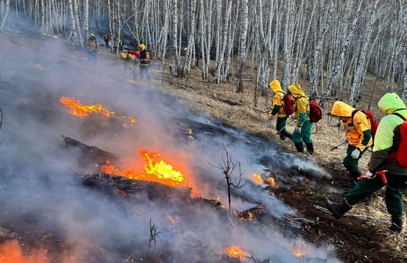 ​С начала лесопожарного сезона в Прикамье потушено шесть лесных пожаров