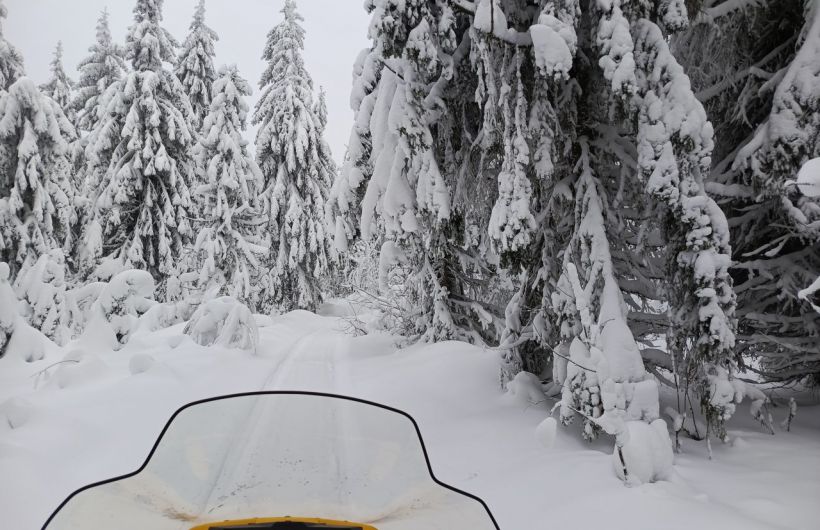 Пермякам напомнили о запрете езды на снегоходах и другом транспорте в границах ООПТ
