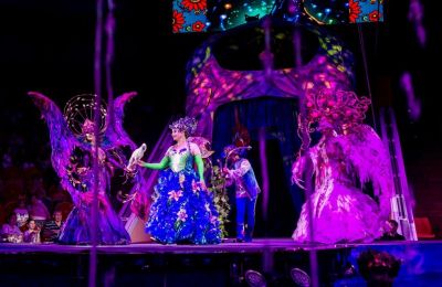 ​Ребята из сел Прикамья смогли бесплатно увидеть яркое цирковое шоу