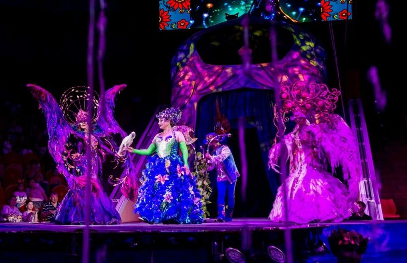 ​Ребята из сел Прикамья смогли бесплатно увидеть яркое цирковое шоу