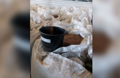 ​Пермский край экспортировал в Германию более 150 тонн семян льна