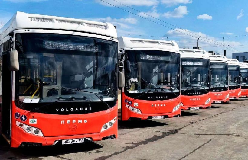 В Пермском крае мигрантам запретили работать водителями автобусов