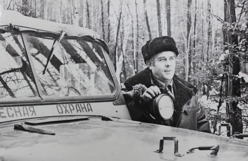 В 2026 году исполняется 90 лет со дня учреждения системы управления лесами в Пермском крае