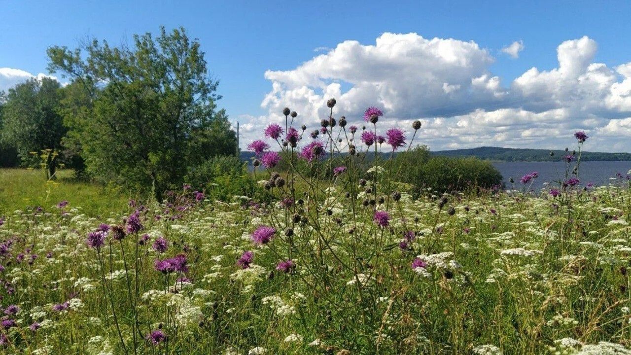 В Перми обсудят разрешения на использование земельных участков